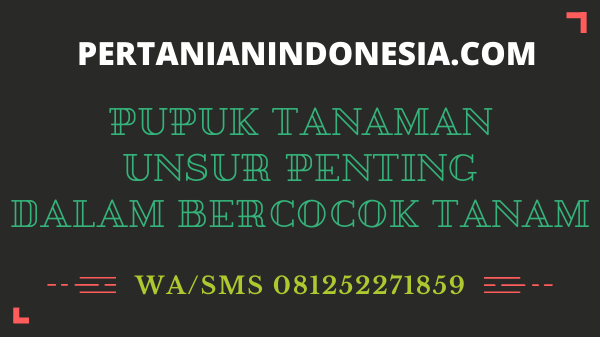 Pupuk Tanaman Unsur Penting Dalam Bercocok Tanam